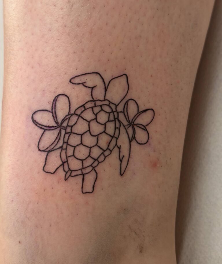 turttle-fineline