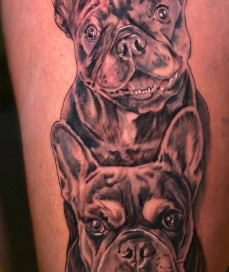 two dogs